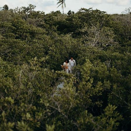 Отель Nativus Glamping & Cenote Тулум Экстерьер фото